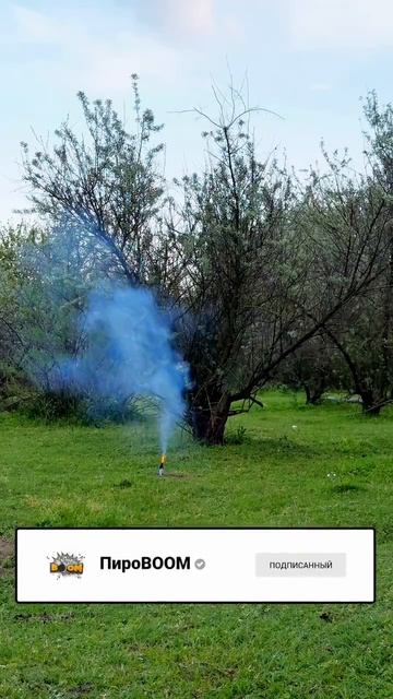 Петарды фитильные ВЕНОМ - PB-009 РПК - 15гр. флеша, в пачке 6шт, цена за 1 петарду смотреть онлайн