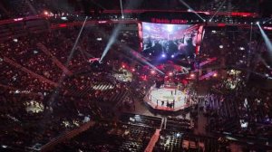 Никита Крылов vs Модестас Букаускас выход UFC 324