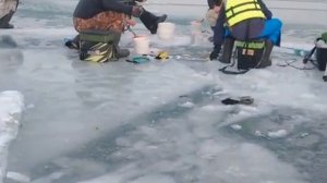 Капчагай . Лазурный . Рыбалка