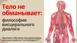 Тело не обманывает: философия висцерального диалога. Фрагмент обучения висцеральному массажу