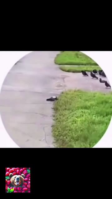 Уважительная причин смотреть онлайн