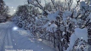 Снег такой холодный