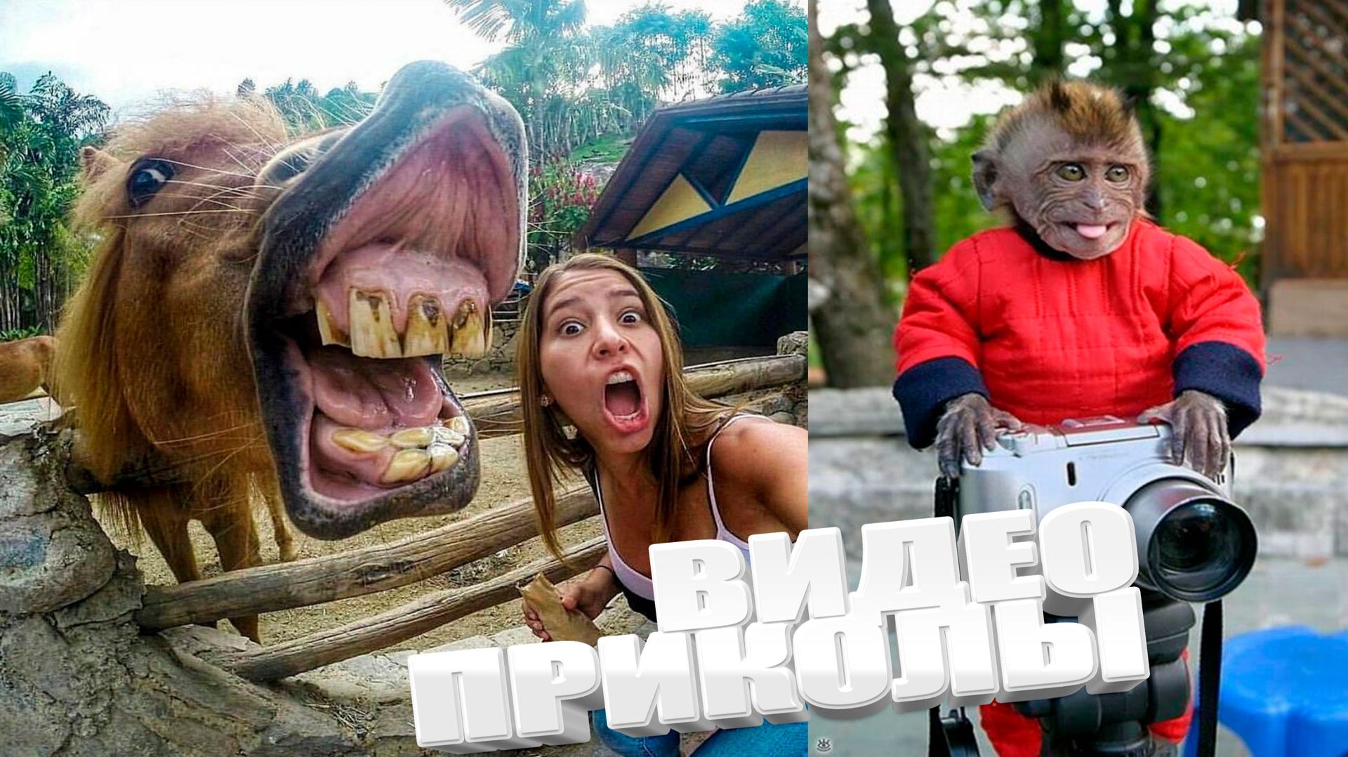 ЛУЧШИЕ ПРИКОЛЫ 2026 | ПРИКОЛЫ 2026 | СВЕЖИЕ ПРИКОЛЫ 2026 | РЖУ НЕ МОГУ | смотреть онлайн