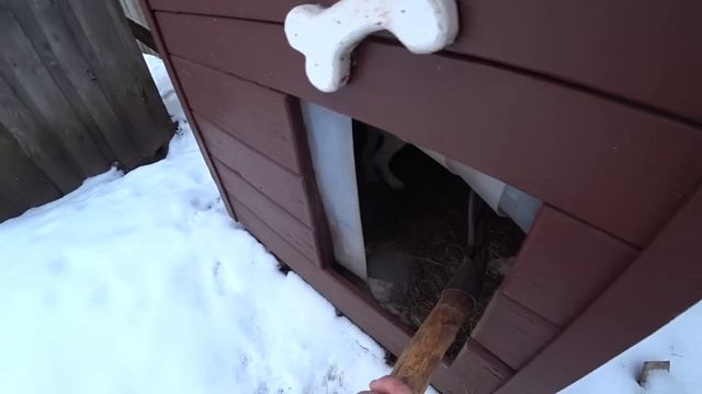 ВЕРНУЛСЯ В ДЕРЕВНЮ. ЧТО НОВОГО ЗАГОТОВКИ НА ЗИМУ. смотреть онлайн