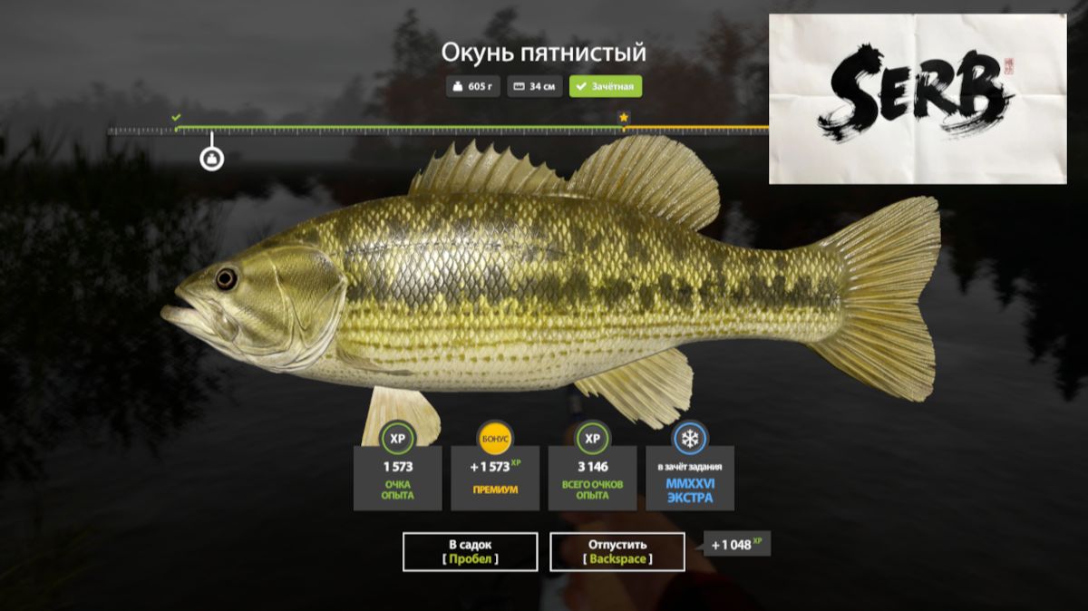 Русская рыбалка 4 25.01.26г. смотреть онлайн