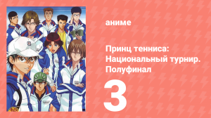 Принц тенниса: Национальный турнир. Полуфинал 3 серия (аниме-сериал, 2007)