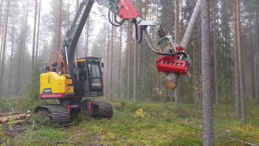 Работа харвестера, современная заготовка леса. смотреть онлайн