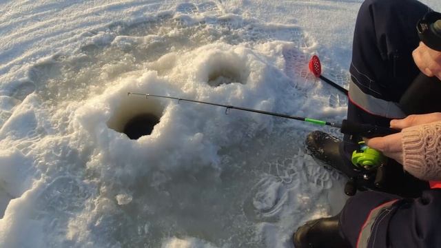 Смудак 2 ICE 2026