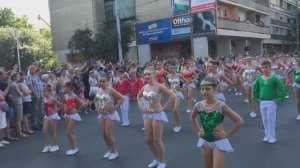 Цветочный карнавал Кенгуру