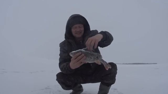 ЗИМНЯЯ РЫБАЛКА НА ВОЛГЕ смотреть онлайн