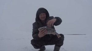 ЗИМНЯЯ РЫБАЛКА НА ВОЛГЕ