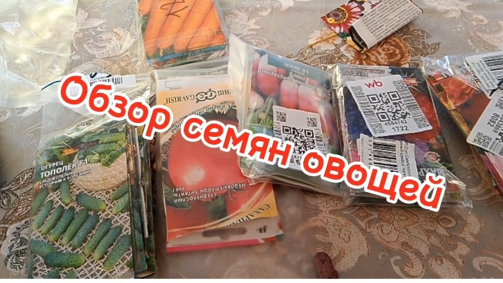 Обзор семян овощей. Готовимся к посеву смотреть онлайн