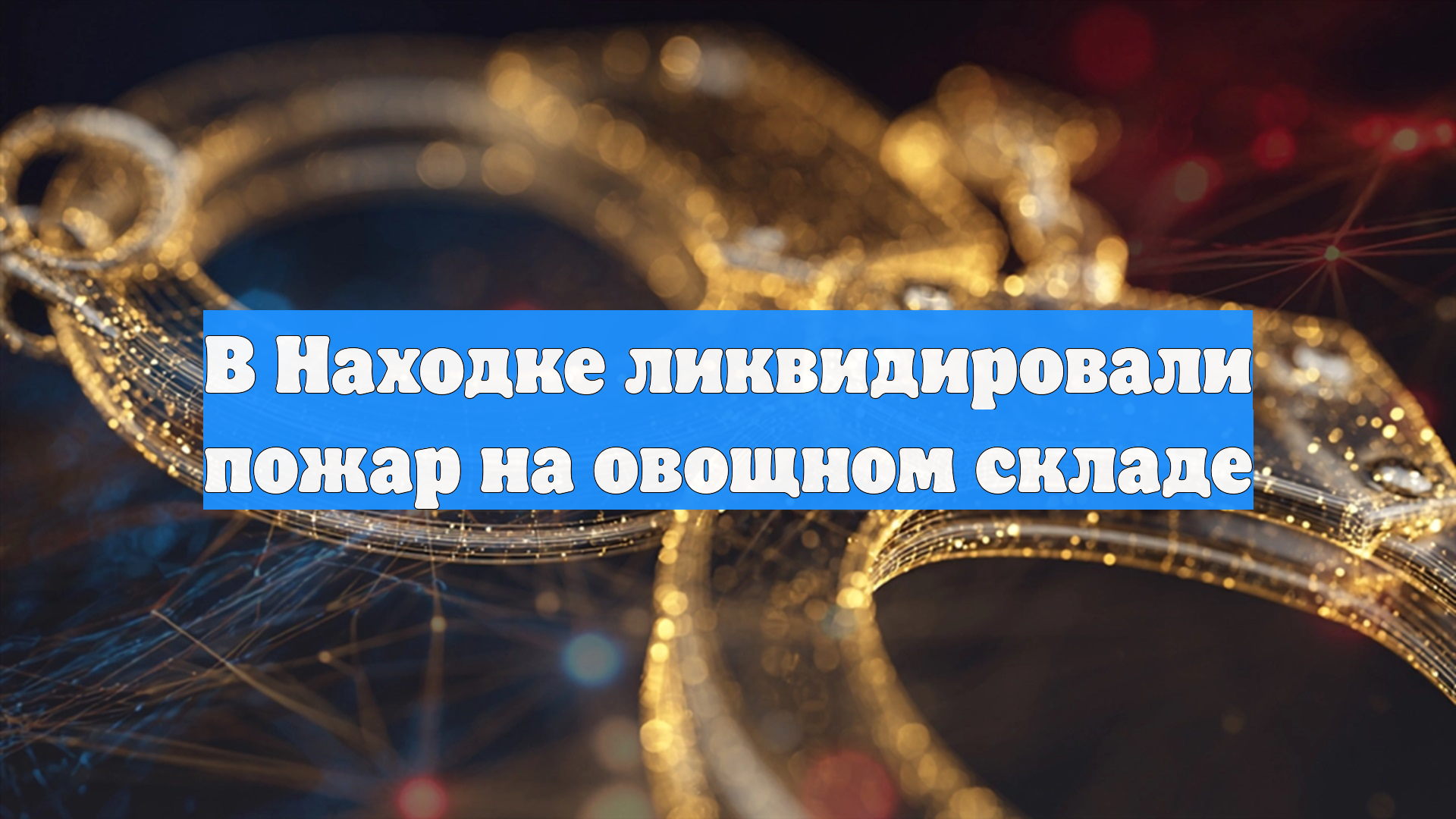 В Находке ликвидировали пожар на овощном складе смотреть онлайн