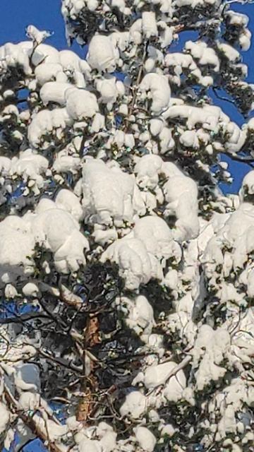 26 Января 2026 смотреть онлайн