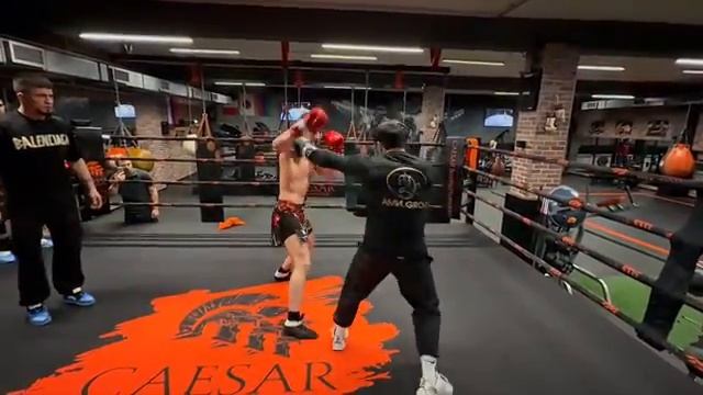 💥 Шовхал Чурчаев vs Шамиль Галимов! смотреть онлайн