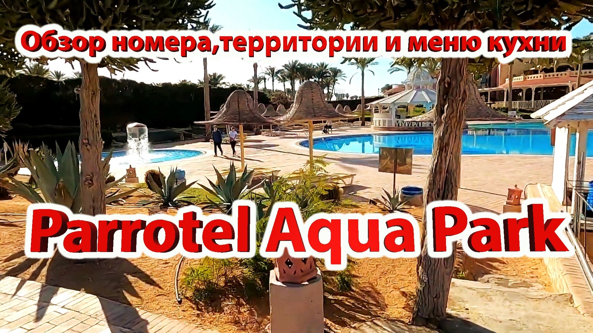 Обзор номера, территории и меню кухни отеля Parrotel Aqua Park 4* / Египет / Шарм эль шейх смотреть онлайн