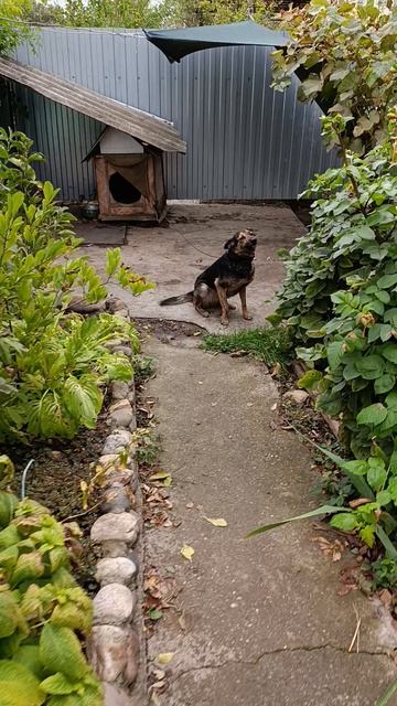 Осенний день смотреть онлайн