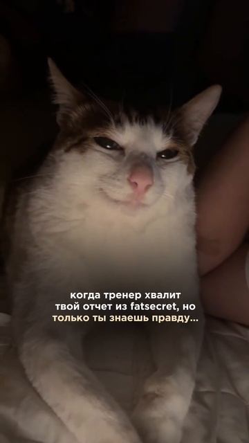 #безсахара #ппрецепты #зож #безсахаравкусно смотреть онлайн