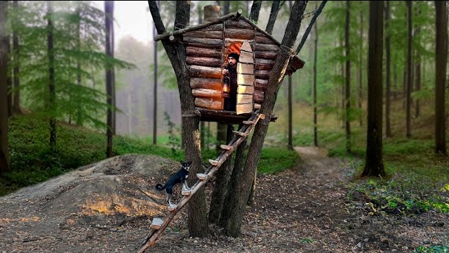 Строю самый большой и уютный домик на дереве. Навыки выживания в дикой природе. Бушкрафт смотреть онлайн
