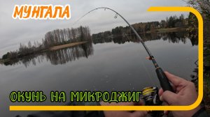 Осенний микроджиг. Ловля окуня на спиннинг на реке Мунгала