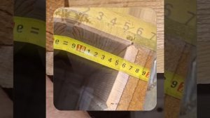 1000046949.mp4 (Собака наблюдает за устройством лестницы на 2 этаж в доме А-фрейм)