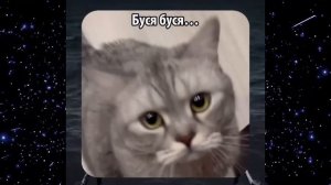 Самые смешные видео