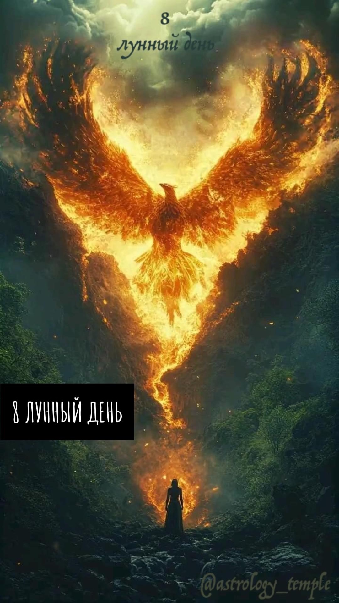 📅 ПН, 26.01.2026 🌛 8 лунный день | Растущая Луна в Тельце 🪄 смотреть онлайн