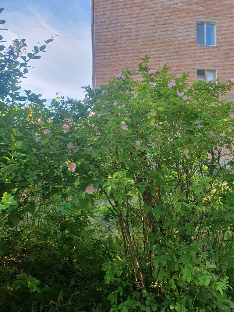 р смотреть онлайн