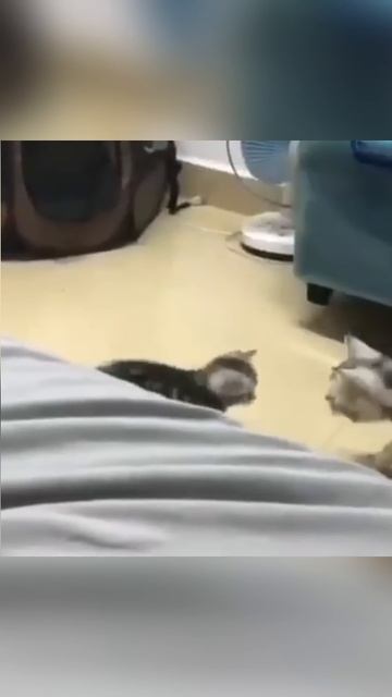 1000103407.mp4 смотреть онлайн