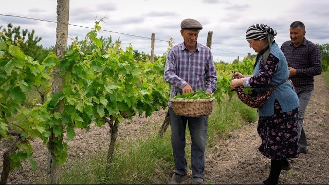 Фаршированные Виноградные Листья - Нестареющее Традиционное Блюдо ✨🌿 смотреть онлайн