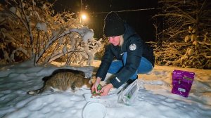 Сергей и Алиса | История двух сердец | Дачные видеозарисовки | День Добрых Дел | 04.01.2026