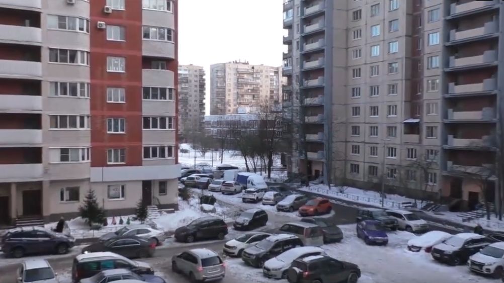 Петербург, вечер, зима. Я и собачка Пуля. 24.01.26. смотреть онлайн