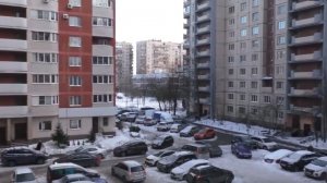 Петербург, вечер, зима. Я и собачка Пуля. 24.01.26.