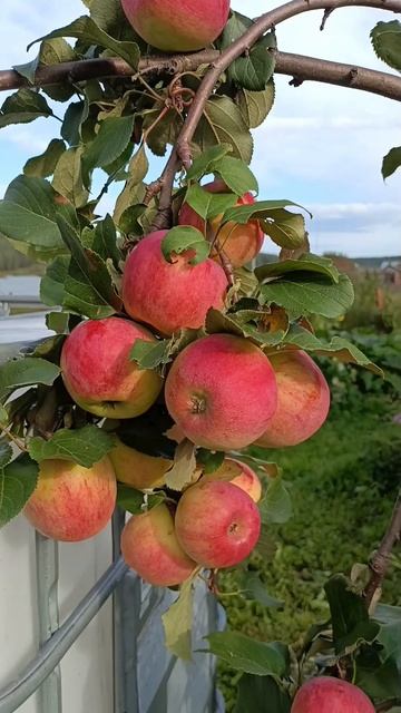 архив2025🐞🐝🍏🍏 смотреть онлайн