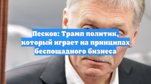 Песков: Трамп политик, который играет на принципах беспощадного бизнеса