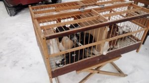 24.01.26 г....г.Енакиево.