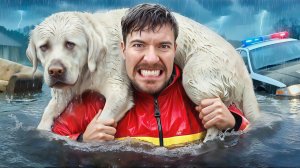 Я спас 1000 животных от смерти. Мистер Бист