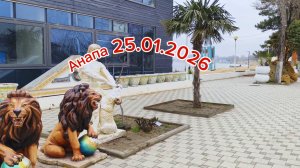 Анапа 25.01.2026
