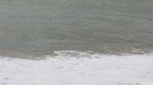 Шри Ланка. Море волнуется раз...