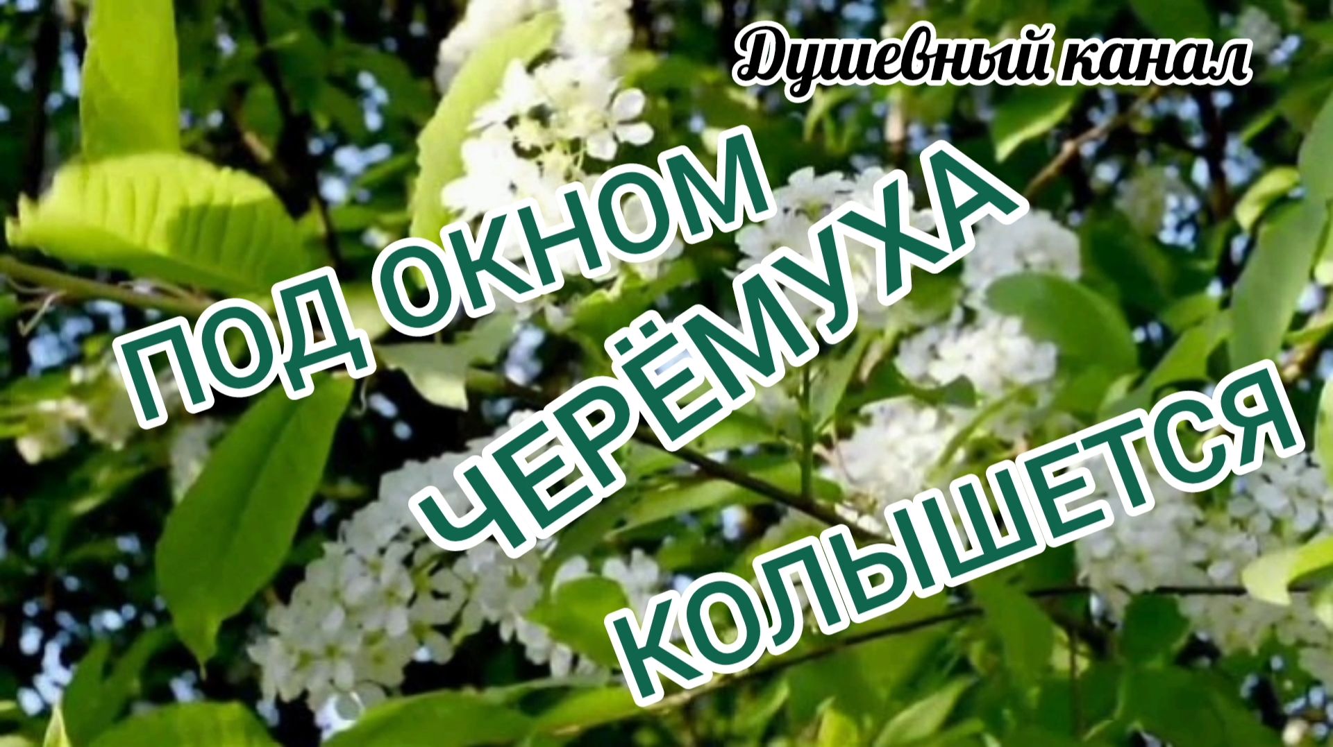 ПОД ОКНОМ ЧЕРЁМУХА КОЛЫШЕТСЯ смотреть онлайн