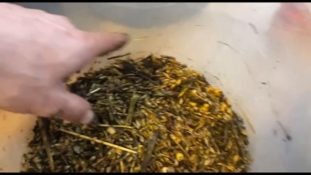 Технология создания органической почвы для рассады. смотреть онлайн