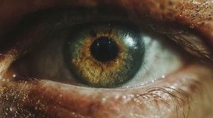 Resident Evil Requiem Наследие Вескера