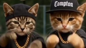 Смешное видео: Дискотека «Мяукавый бит»: коты танцуют, мыши отдыхают!