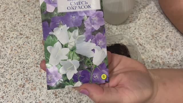 Карпатский колокольчик Посев 20.01.2026. Дубль 2 смотреть онлайн