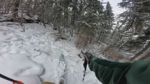 Манжерок. Внетрассовое катание (фрирайд) запрещено!