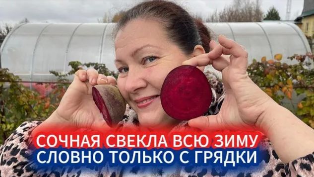 ХРАНЕНИЕ СВЕКЛЫ ЗИМОЙ В ОБЫЧНОМ ПАКЕТЕ- СЛОВНО ТОЛЬКО ВЫКОПАЛИ С ГРЯДКИ смотреть онлайн