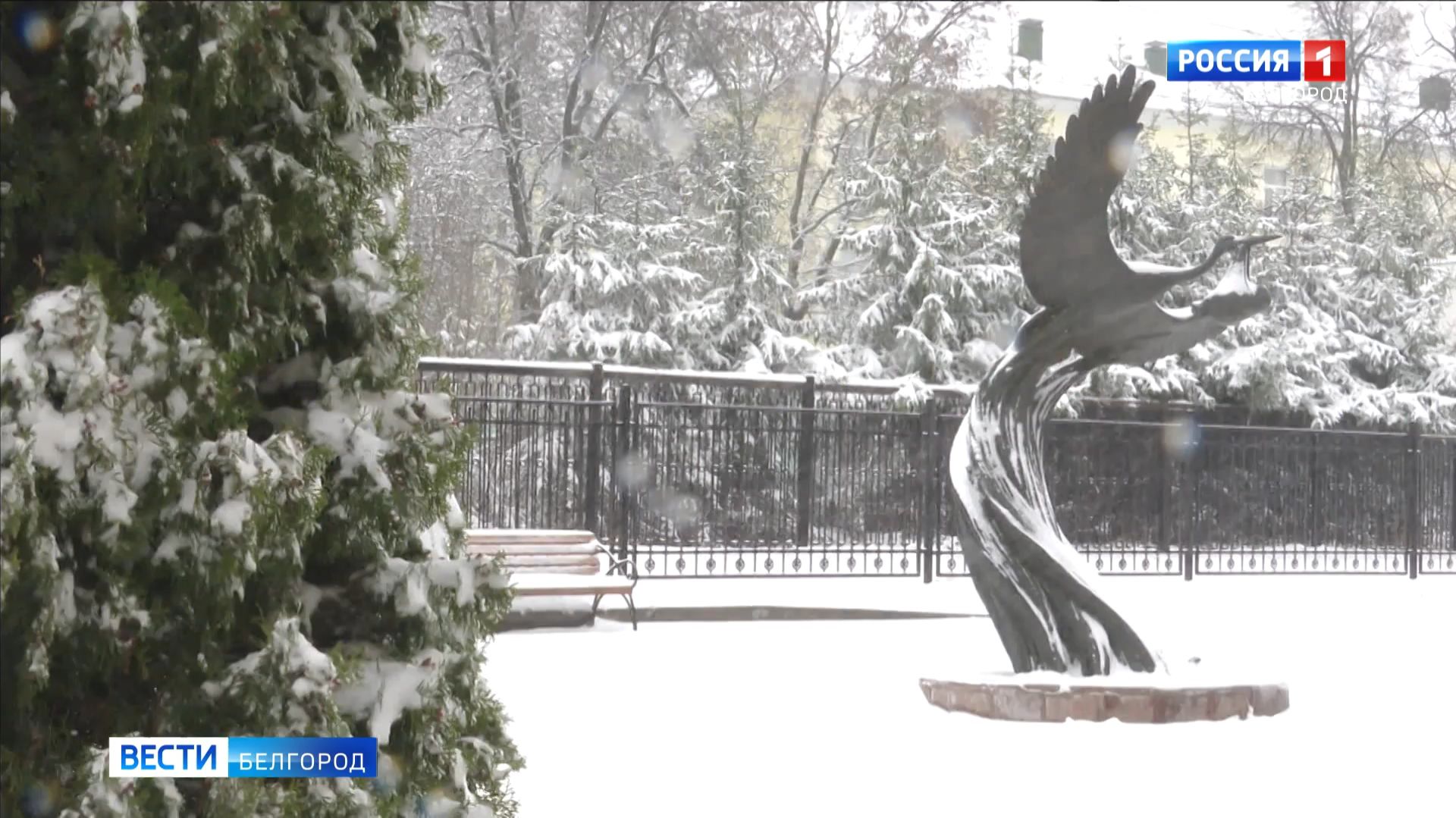 Итоговый выпуск «Вести. Белгород» от 25.01.2026 смотреть онлайн