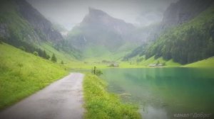 Жизнь в швейцарских альпийских деревнях - Дождливая расслабляющая прогулка по очаровательным швейцар