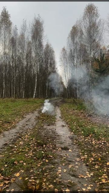 Петарды фитильные СКОРПИОН - PB-001 РПК - 6гр. флеша, вспышка микс+ взрыв, упаковка 12шт смотреть онлайн