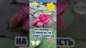 VID_20260125_183603_026.mp4